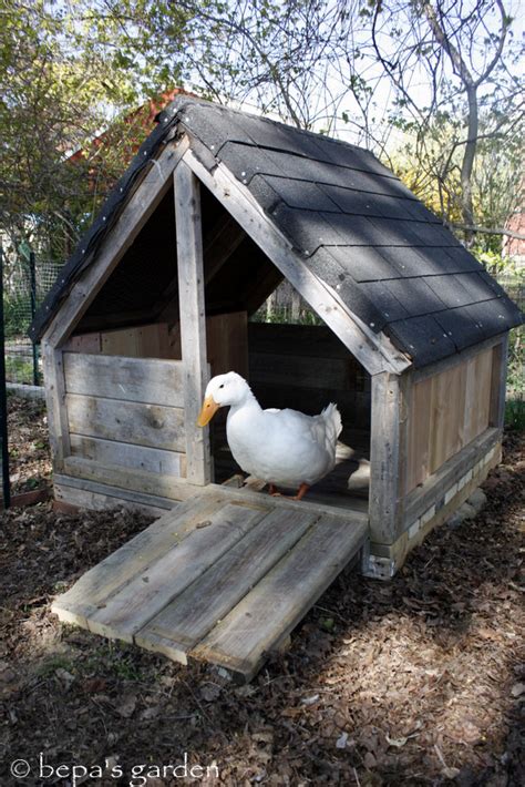 Check spelling or type a new query. Bepa's Garden: A duck house made from recycled materials ...