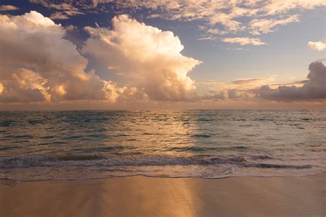 Caribbean Beach In Morning Free Stock Photo - Public Domain Pictures