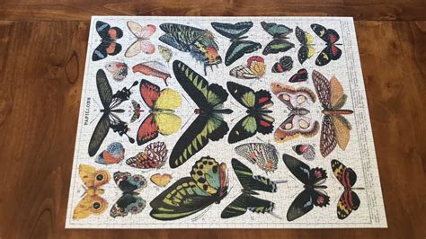 Cavallini And Co Butterfly 1000 Piece Puzzle Timelapse Youtube
