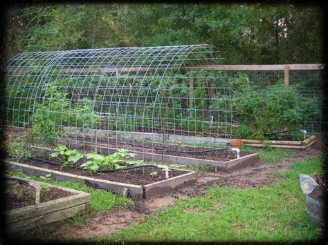 What kind of wood should be used for raised bed gardens? DIY Trellis & Raised Garden Box Combo | Home Design ...