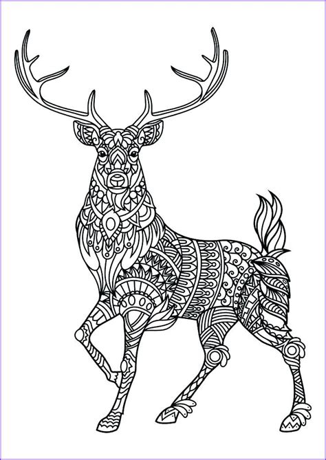 13 Beautiful Coloring Pages Of Animals For Adults Photography In 2020