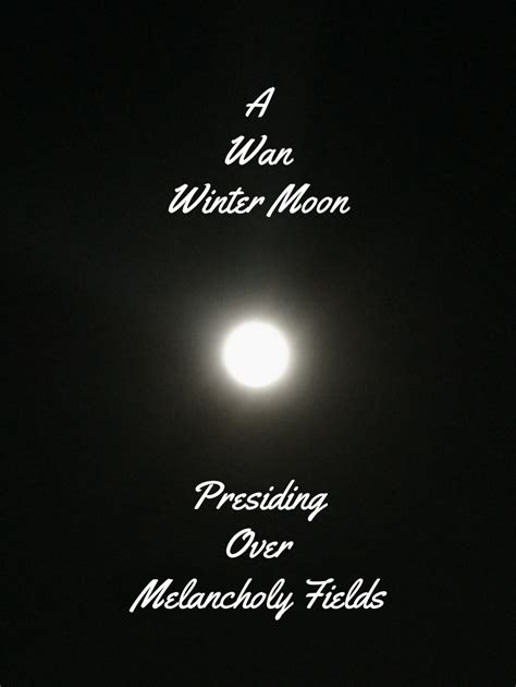 Poems Winter Moon