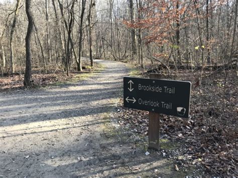Blendon Woods Metro Park In Columbus Sharing Horizons