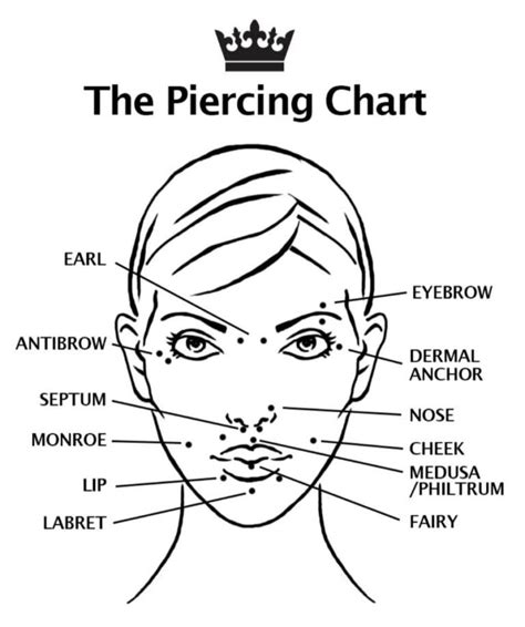 Paris Ink The Facial Piercing Chart Include Eyebrow Cheek Nose