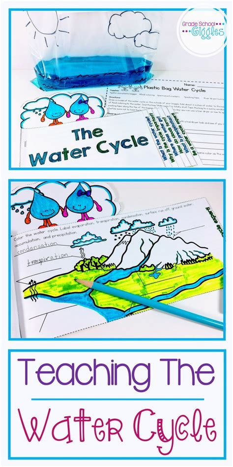 The Water Cycle In A Bag Activity Interactive Notebook Experiment