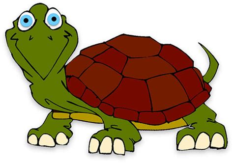 Old Turtle Face Cartoon Img Gleep