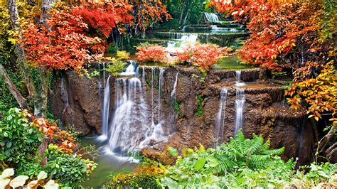 Beautiful Autumn Forest Waterfall Image Background For Desktop