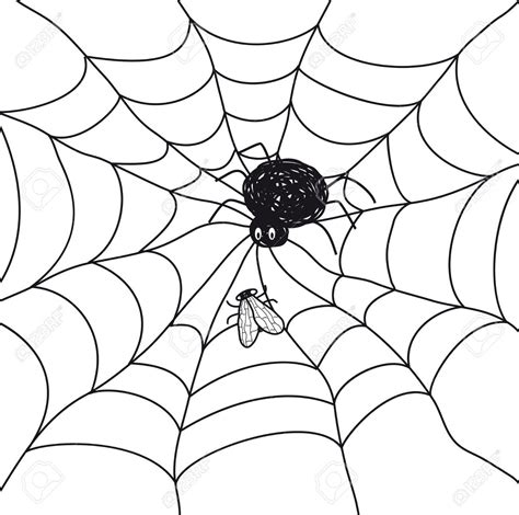 Web Images Cartoon Free Cartoon Pictures Of Spider Webs Download Free