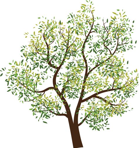 Tree Png Images Pictures Download Free
