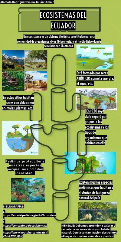 Infograf A Ecosistemas Del Ecuador Hot Sex Picture