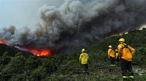 Reporte Oficial Por Los Incendios En Argentina No Hay Focos Activos En
