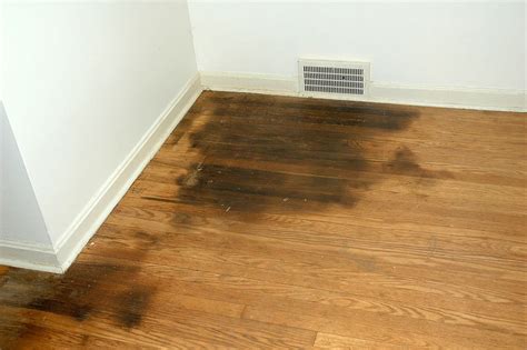 How To Remove Pet Stains From Wood Floors