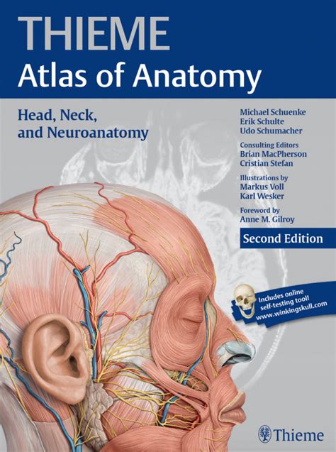 Thieme Atlas Of Anatomy 2ed Mu Medical