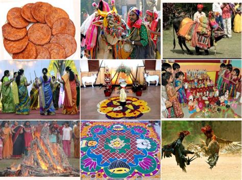 Indian Festival Pongal Sankranthi