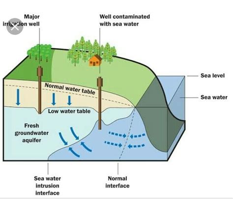 Ground Water And Water Table Diagram