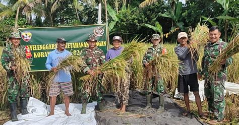 Wujudkan Ketahanan Pangan Babinsa Koramil 02 Susut Kodim 1626 Bangli