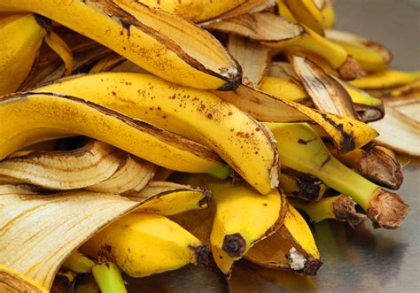 Banana Peel Compost How To Make And Use Banana Peel Compost In Your Garden