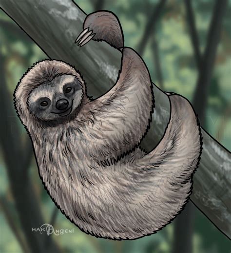 How To Draw Sloths Sloth Art Sloth Drawing Sloth