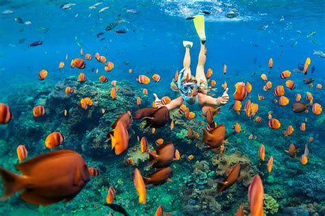 10 Of The Best Snorkelling Spots Around Australia Travel Insider
