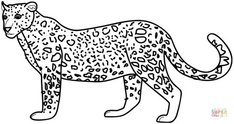 Leopard Coloring Page Free Printable Coloring Pages