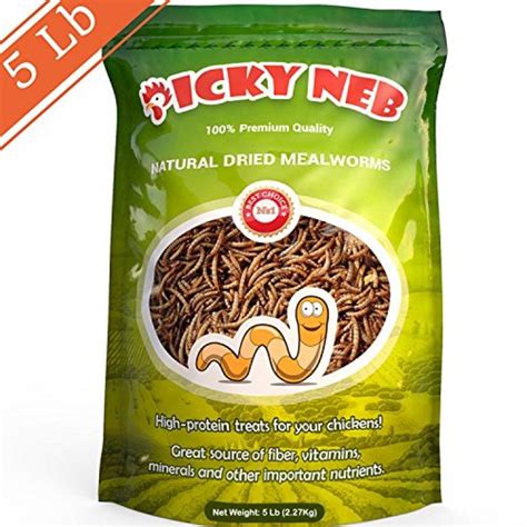 Whole Mealworms For Chickens 5lb 100 Non Gmo Large Dried Meal Worms