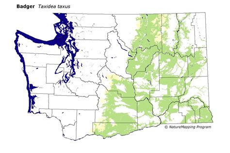 American Badger Range Map