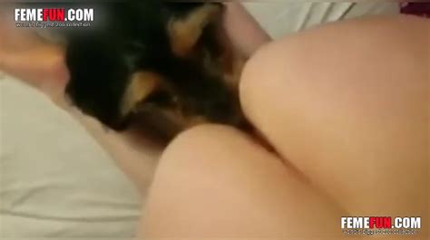 Teen Girl Gives Blowjob While Dog Licks Her Pussy In Dog