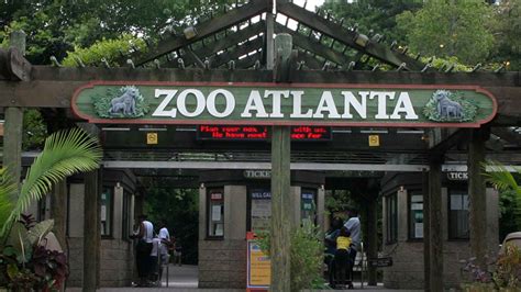 Zoo Atlanta In Atlanta Bezoeken Nu Tickets Boeken Getyourguide