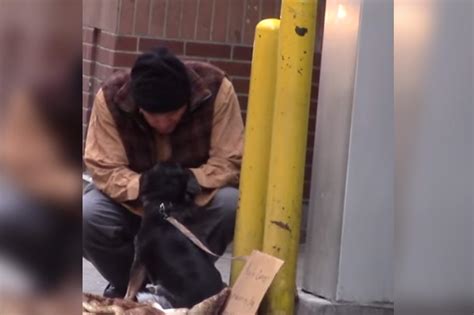 Video Viral Perro Fue Abandonado Y Un Hombre De La Calle Fue El