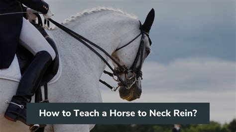 How To Teach A Horse To Neck Rein