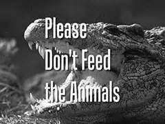 Don't feed da animals is the second studio album by american rapper gorilla zoe. The Avengers : Series 1 : Please Don't Feed The Animals