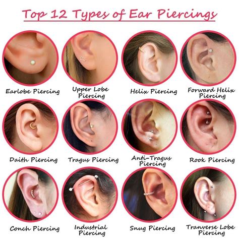 Pin By Shayan Zandieh On Tattoo And Piercing Pretty Ear Piercings