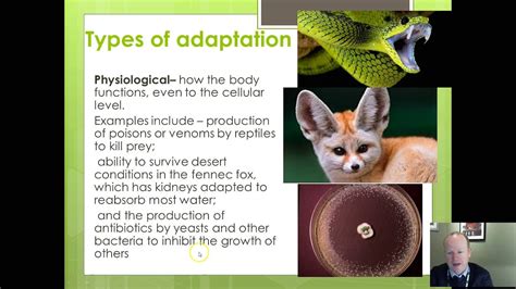 Ocr Biology Evolution Part 3 Adaptations Youtube