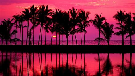 Hd Wallpaper Sunset Palm Trees Ca Usa San Diego Mission Bay
