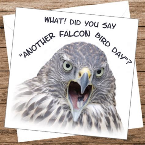 Another Falcon Bird Day Birthday Card Fun Funny Bird Falcon Etsy Uk