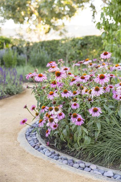 71 Best Sunset Magazine Sonoma Test Garden Images On Pinterest Sunset
