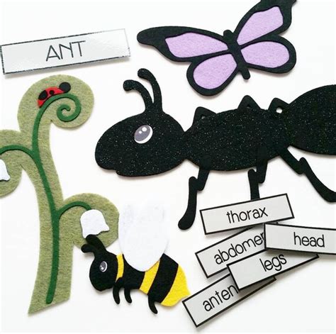 Parts Of An Ant Felt Board Learning Set By Circletimedesigns