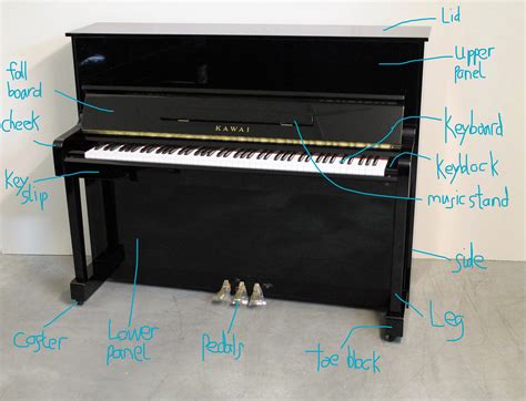 Names Of The Cabinet Parts Of A Piano Piano Lobby