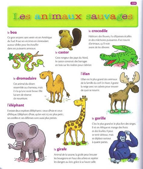 105 Best Fle Lexique Des Animaux Images On Pinterest French French