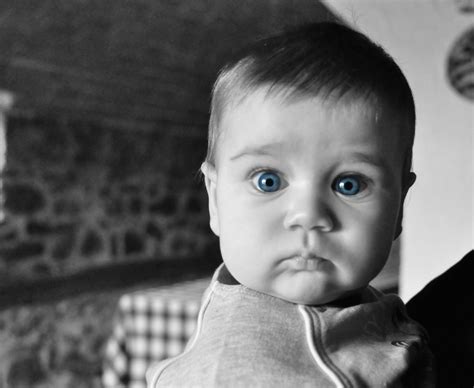 無料画像 人 黒と白 男の子 可愛い 探している 男性 ポートレート 若い 赤ちゃん 面 家族 幼児 眼 頭 喜び 凝視する 驚き 見る 固定 青い目