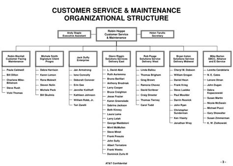Ppt Customer Service Organizational Structure Overview Powerpoint