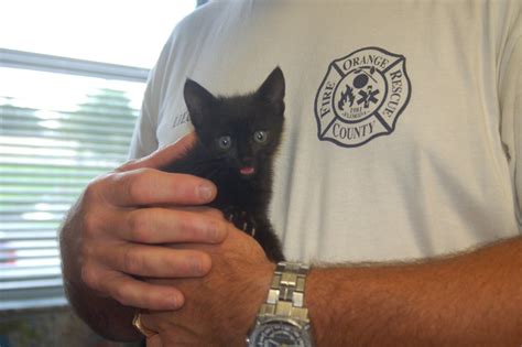 Последние твиты от chicago cat rescue (@chicatrescue). Firefighters rescue kitten and try to find her a loving ...
