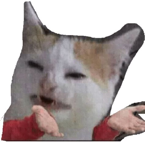 Duren Meme Gato Llorando Yuzuha Wallpaper