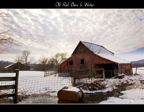 Pictures Of Old Barns An Old Red Barn In Winter By