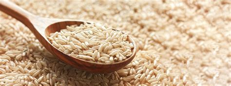 Diabetes And Brown Rice Consumption Diabeteswalls