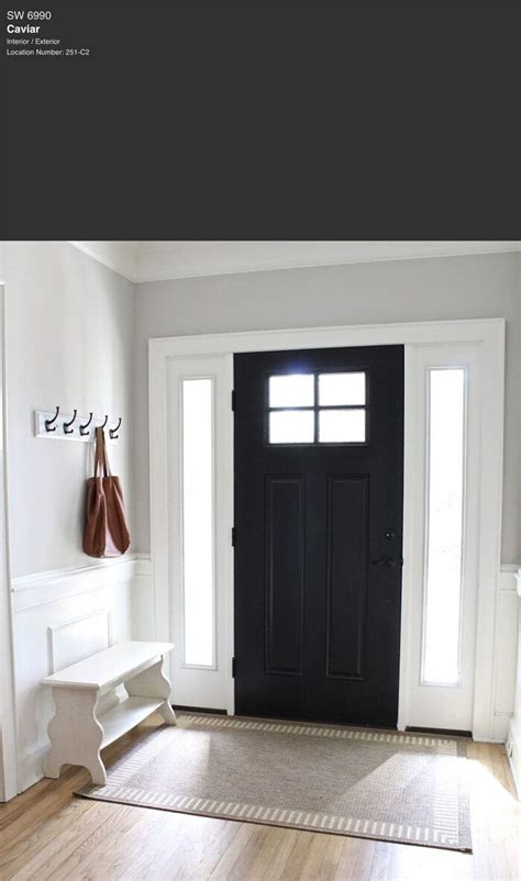 7 Best Black Paint Colors By Sherwin Williams Black Interior Doors