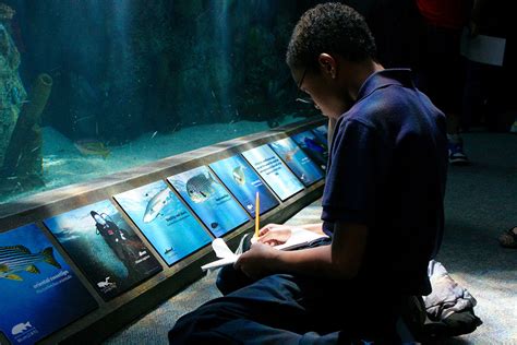 Ts And Grants Ways To Give Aquarium Of The Pacific