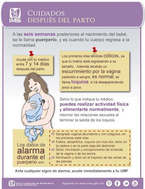 Cuidados Después Del Parto Consejos Para El Embarazo Embarazo