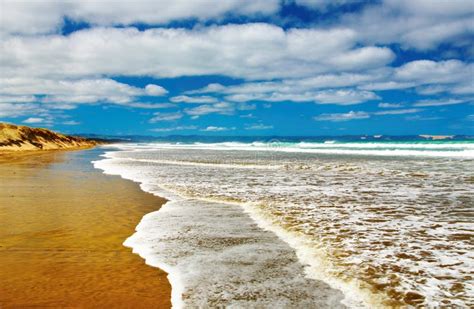 Ninety Mile Beach New Zealand Stock Photo Image Of Wave Ocean 8464898