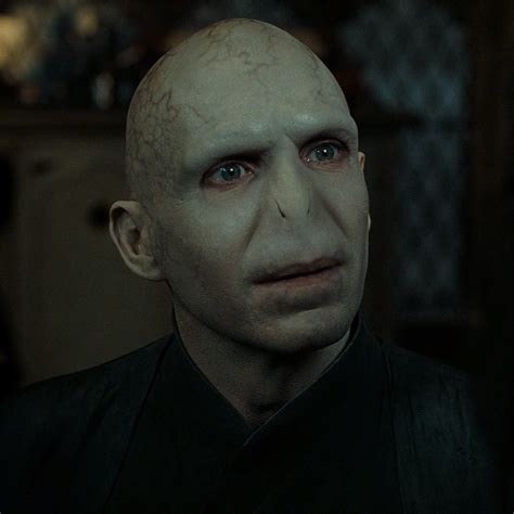 Harry Potter Voldemort Lord Voldemort Harry Potter Series Stop